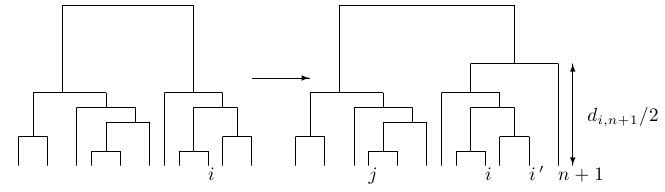 Connecting leaf n+1 to the dendrogram.